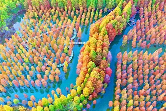 以美酒敬美景，用旅行致生活！