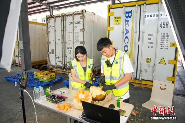 2025年广西·凭祥中越边关旅游节开幕