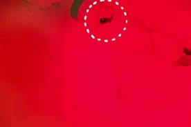 入住酒店民宿如何防止被偷拍？业内：注意奇怪的WIFI和摆放不正常的物品图片
