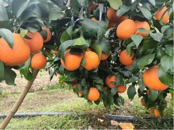 永川“留娃”去处上新→