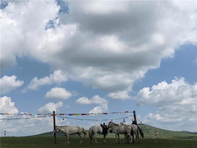 让草原旅游迸发全新活力
