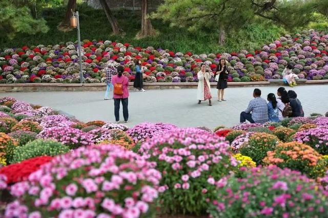 双节“八天乐” 全市公园推出169项生态文化活动喜迎中秋国庆假期