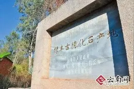 禄丰古猿会悬摆、四足攀爬……直立行走？图片