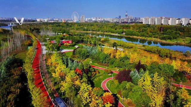 园林城市 绿意生活 | 这条绿色游径太美了！