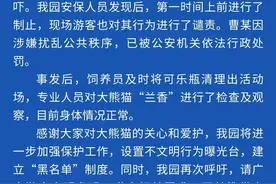 重庆动物园：向大熊猫兰香扔可乐男子被行政处罚图片