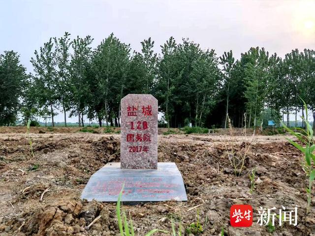 江苏阜宁：从界桩看古镇的文脉与乡愁
