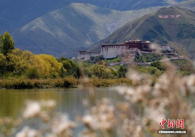 西藏拉鲁湿地秋意渐浓