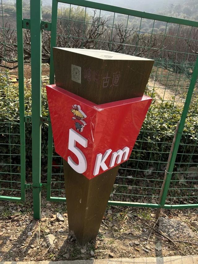 太火爆！无锡人最近都在…