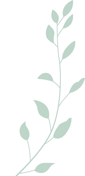 元旦，辽宁这些场馆陪你过个文化年！