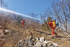 闻令而动秒级响应，淬炼森防“尖兵”图片