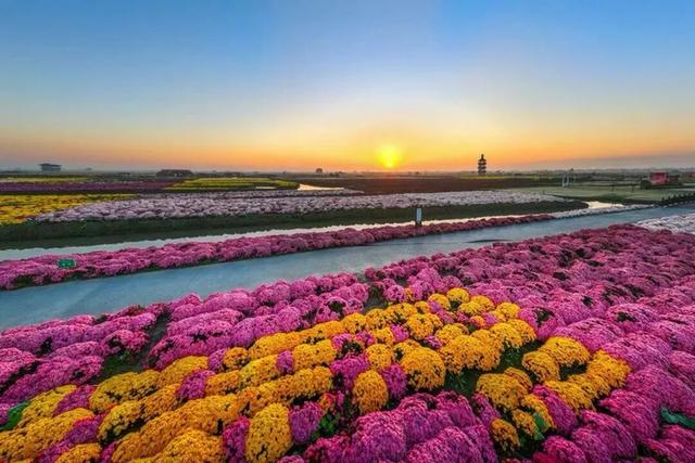 夺冠后，泰州官宣：全球免费！