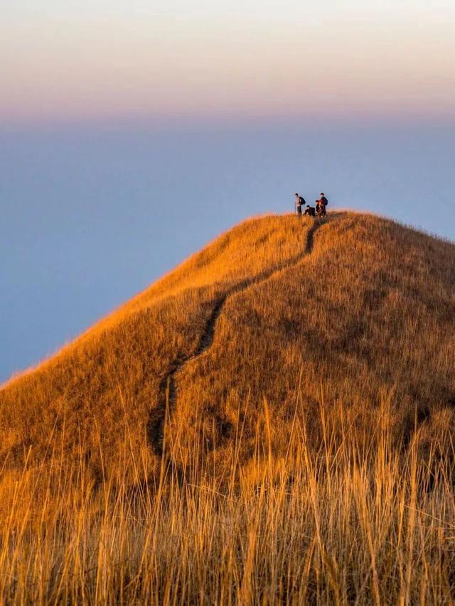 当朱迪尼克来到江西～原来这里也是疯狂动物城！