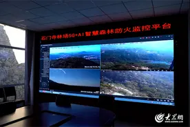 山东移动济宁分公司构筑森林“防火墙”，用数字技术守护绿水青山图片