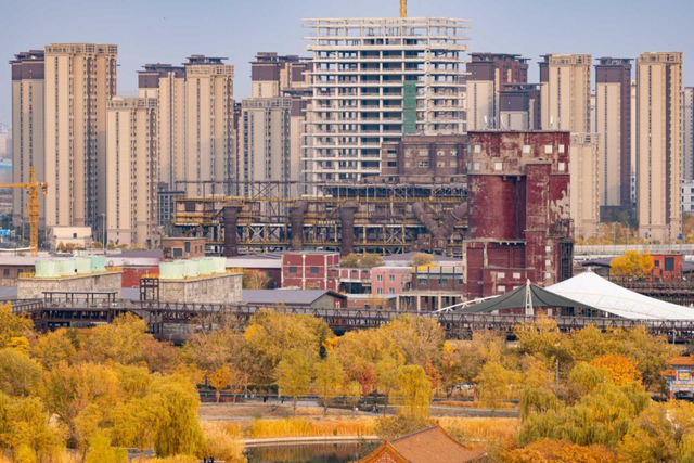 多彩京秋丨全市彩叶树变色率播报（2025.11.13）