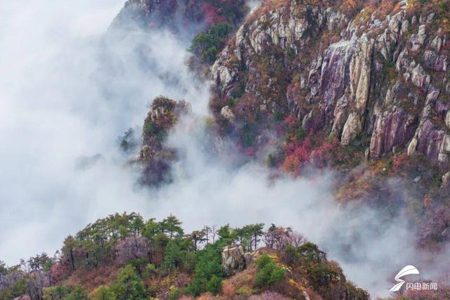 组图丨泰山冬境：一笔云烟 万种雄浑