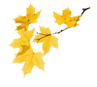 快来打卡！央视镜头下的泸州，这次由谭松韵当“导游”！