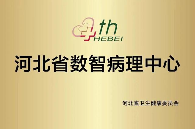 专题 | AI赋能，用好病理诊断这把“生命密钥”