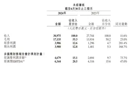 快手二季度营收309.75亿元，经调整后净利润46.79亿元图片