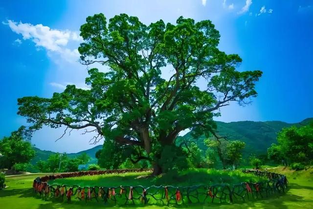 平凉四景点入选甘肃文旅新地标