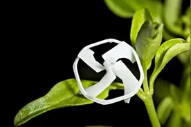 受蜜蜂启发，可控飞行的最小无线机器人问世图片