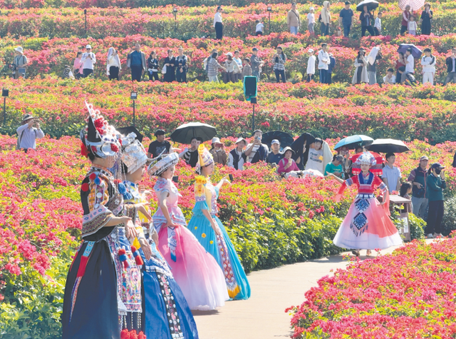 冬日寻芳青秀山