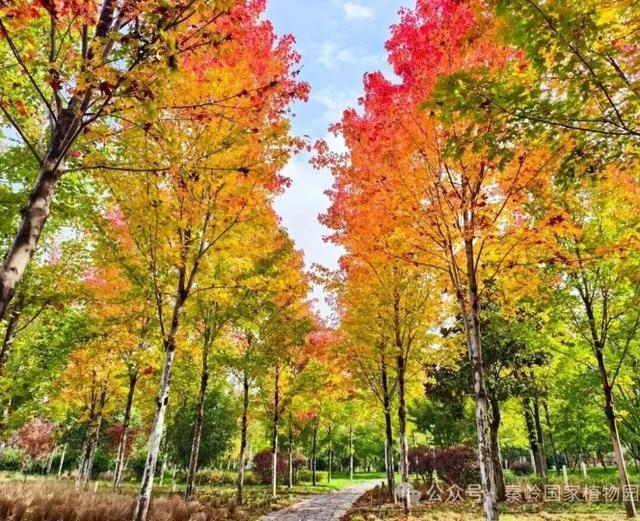 畅游年卡上新！解锁2026全年精彩，省钱又省心