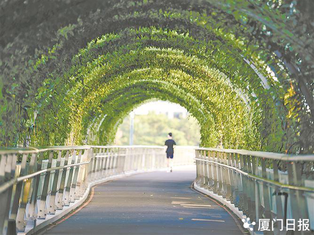 盛夏多巴胺 打卡一“厦”