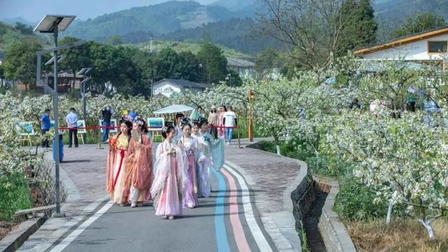 定了！彭州“村糖会”系列活动重磅来袭！跨年、新春、探春……承包你一年的甜蜜