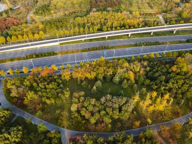 河南位居第一梯队！沿黄九省区黄河指数报告发布！69城排名郑州第二、洛阳第九