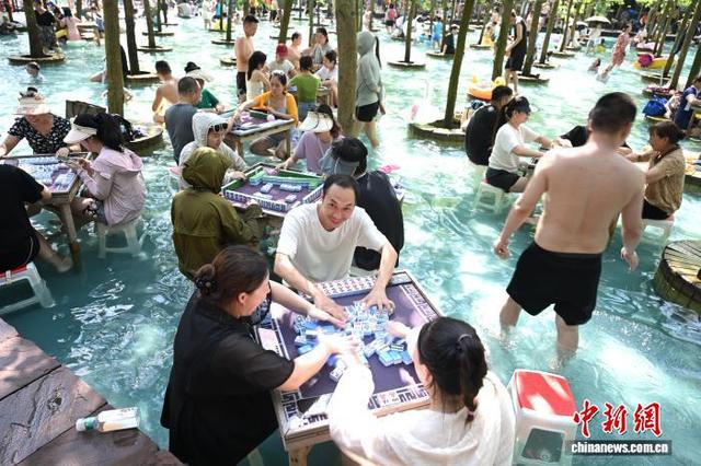 成都高温天气持续 游客打水上麻将享清凉