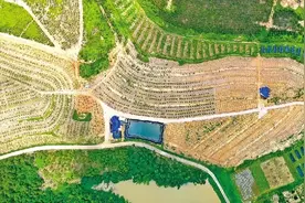 土里掘金 蚓出一地两收图片