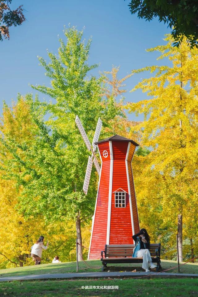 实况！武汉彩叶季来了，这些地方最出片