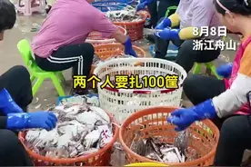 “有钱赚被咬也开心！”舟山扎蟹女工可观收入的背后…图片