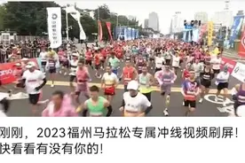 左海·2023福州马拉松成绩查询上线啦！快来看看你的成绩！图片