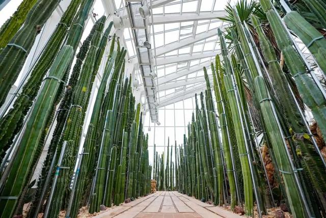 预计4月正式向公众开放！宁波新增一个打卡好去处