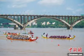 中国—东盟国际龙舟公开赛广西藤县开桨图片