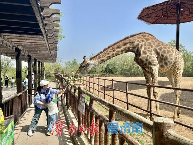 抓住暑假“尾巴” 济南亲子游再升温