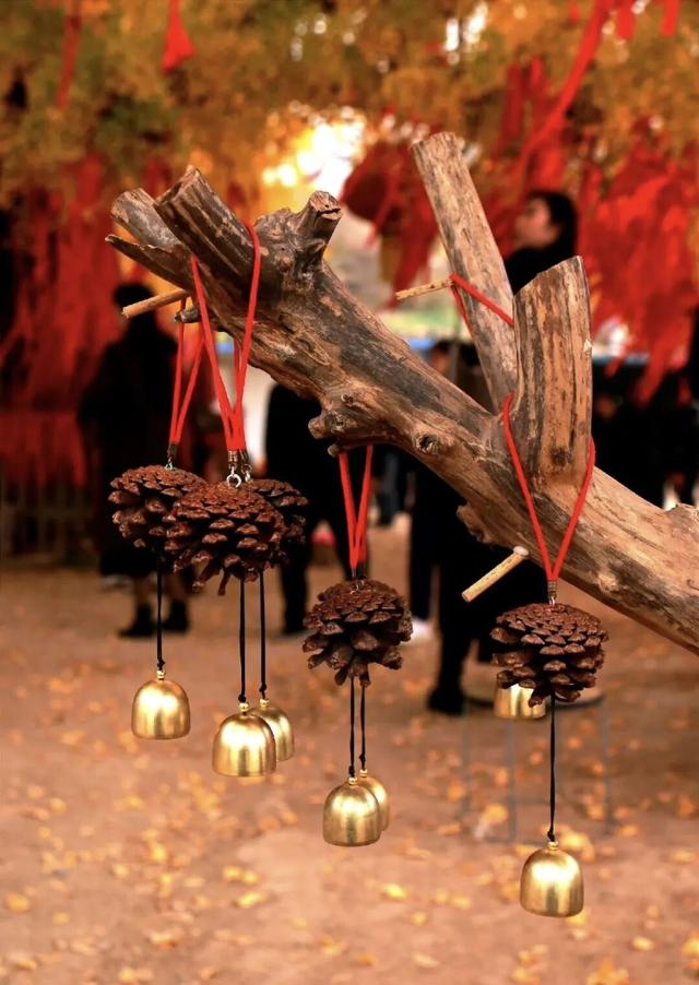 秋日必冲！新乡这两处秘境，藏着最动人的金黄时光