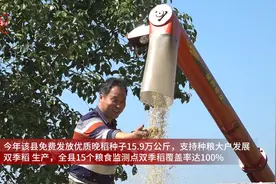 衡山：20多万亩晚稻开镰收割图片