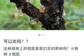广东街头出现，不要采、不要吃！图片