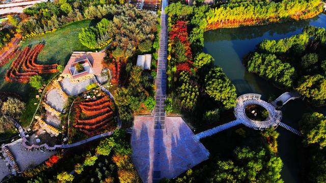 组图丨武威海藏公园：一湖秋色半城诗