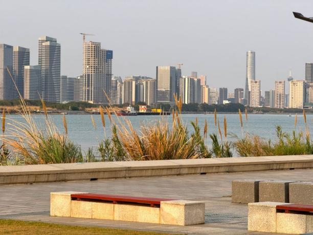 横琴花海长廊骑行攻略来了！轻松打卡“花海赛道”同款浪漫