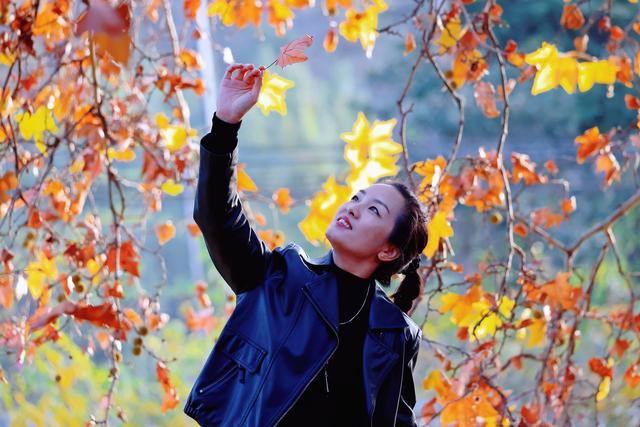 济源：梧桐叶落最多情