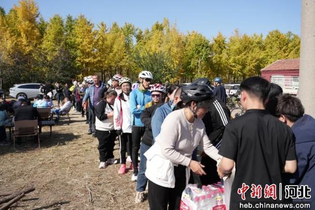 河北曲周举办“骑聚千年凤城 共赏银杏美景”主题骑行活动