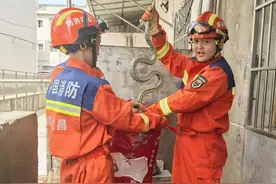 湖北多地出现，提醒：见到请报警图片