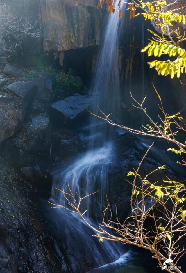 组图丨泰山彩石溪初冬 溪水与暖阳织就轻缓诗意