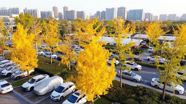 🧡宿城，已经美成这样！