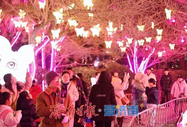 一年四季 泉在济南丨迎春花灯亮化测试，五龙潭公园点亮“花涧秘境”