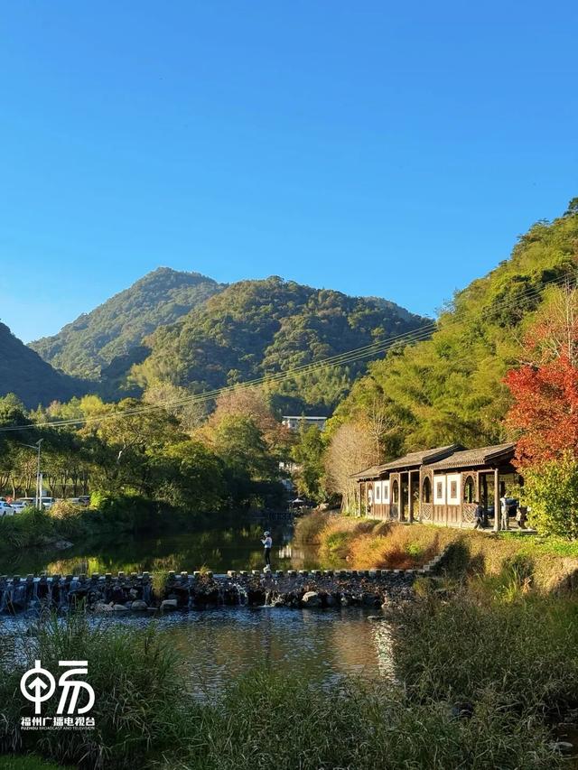 红了！红了！不少人都出动了...