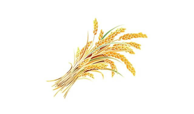明天，邀您在临翔共赏美景, 共庆丰收!
